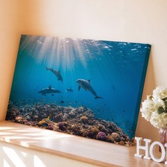 Vibrant Underwater Scene Featuring Playful Dolphins Swimming Gracefully Wall Art