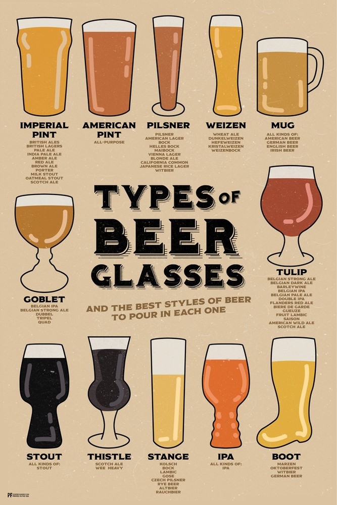 Types of Beer Glasses and Styles of Beer Reference Art Print Poster 12×18