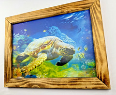 Framed Wall Art, 3D Ocean Dolphin and Sea Turtle 15.75 in X 11.75 in Wood Frame