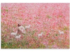 Jesus Christ Rests In Field Of Flowers W/ Lamb 15.5×23.5 Canvas Wall Art Poster