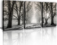 Bathroom Wall Art Black and White Forest Pictures Tree Canvas Prints Art Land…