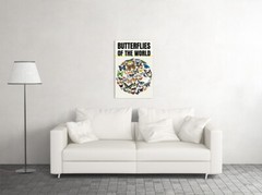 Butterflies of World Science Classroom Chart Art Wall Room Poster – POSTER 20×30