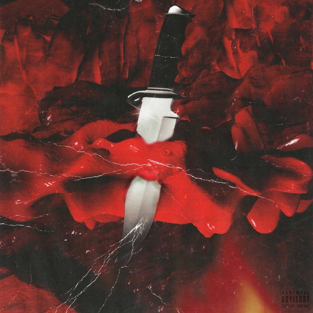 21 Savage Savage Mode Poster Wall Art Home Decor Photo Prints 16, 20, 24″