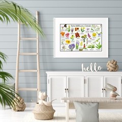 Native Wildflowers of Colorado Flower Identification Poster / Flower ID Guide