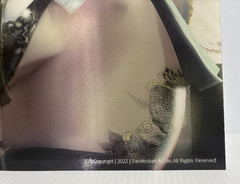 Sexy Blonde Women Warrior 3D Lenticular Flip Effect 11 «x 17» Sakimichan Art