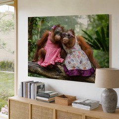 Cute orangutan monkeys in colorful dresses with sunglasses canvas wall art print