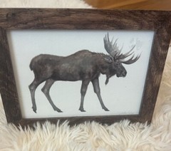 New Animal Art Print Moose In A 5×7 Picture Frame Table Top Or Wall