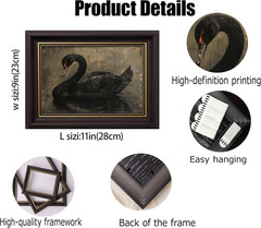 Black Swan Framed Wall Art, Moody Vintage Animal Canvas Print with Gold Accents,