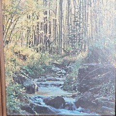 Vintage Framed Forest Prints Cottage Country Wall Art Rustic Farmhouse Decor