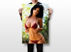 Denise Milani Sexy Model Sportswear Fashion Wall Art Home Decor – POSTER 20×30