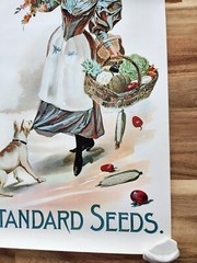 D.M. FERRY & COMPANIES STANDARD SEEDS ADVERTISING POSTER REPRINT? 24 X 12.5