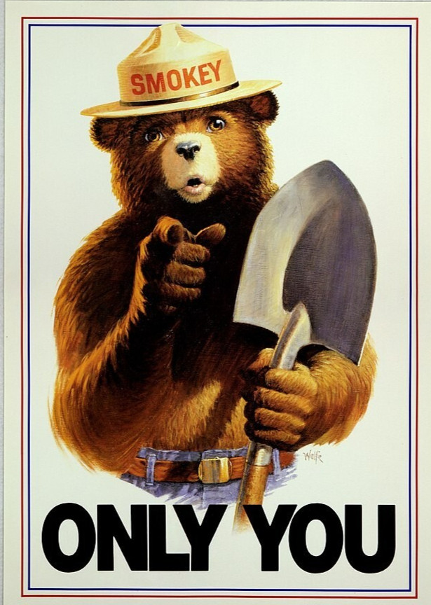 Smokey The Bear Only You Vintage Advertisements 8.5×11 Photo Print