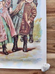 D.M. FERRY & COMPANIES STANDARD SEEDS ADVERTISING POSTER REPRINT? 24 X 12.5