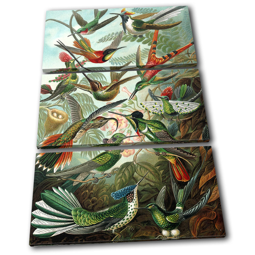 Birds Floral Tropical Vintage Animals TREBLE CANVAS WALL ART Picture Print