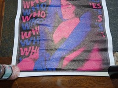 New Who Really Cares TV Girl Vinyl Poster 19×13