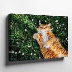 Orange Tabby Cat Relaxing on Grass with White Flowers Canvas Wall Art Print