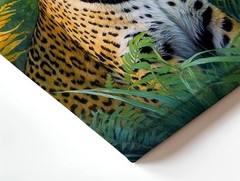 Wall Art Leopard Jungle Canvas Print Tropical Wildlife Animal Painting Decor