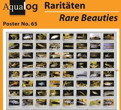 AQUALOG – Fold Poster Rare Tropical Fishes