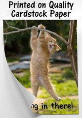 Hang in There Cat Poster – Printed on Premium Cardstock Paper – Sized 11 x 14…