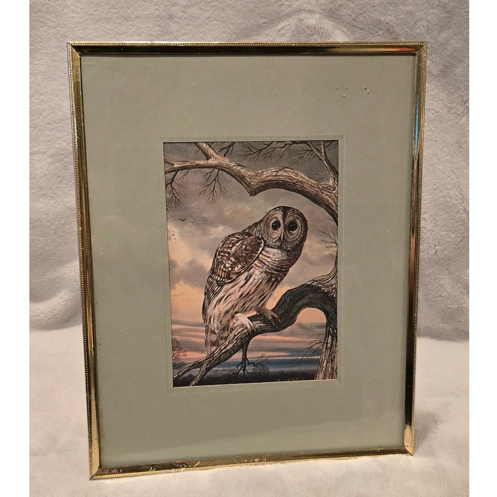 Vintage Framed Owl Print Art Nature Scene Gold Tone Frame Desk Tabletop Decor