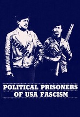 Black Panthers Poster, Bobby & Huey, Political Prisoners of USA Fascism,