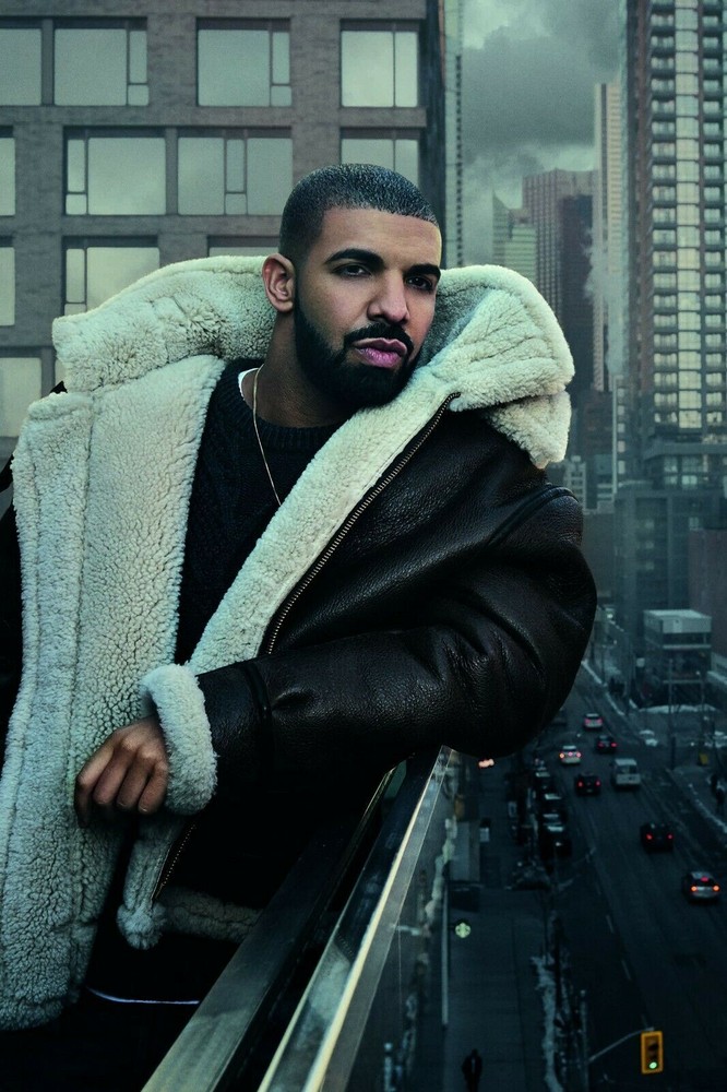Drake Views Poster (20×30) inches