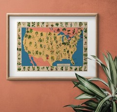 American Medicinal Plants Herbs Map c. 1932 Vintage Art Print Poster Wall Decor
