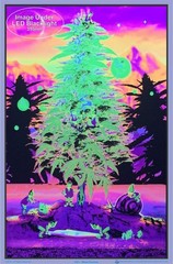 Scorpio Posters Weed Gnomes – Flocked – Blacklight Poster 35″L x 23″W, White