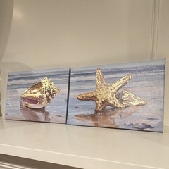 Coastal Seashell & Starfish Beach Canvas Print Set Multicolor 6 x 8.75”