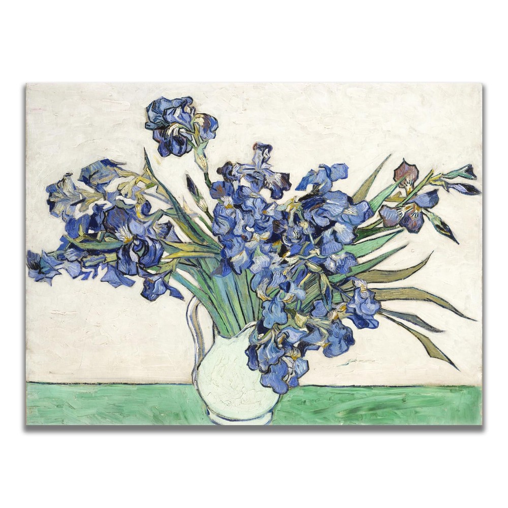 Vincent Van Gogh Canvas Wall Art Irises Poster Vincent Van Gogh Vintage Botan…
