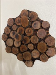 Natural Tree Ring Wall Art One Of A Kind Heavy
