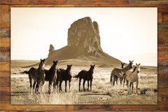 Wild Horse Art, Sepia Prints, Monument Valley, Southwestern Arizona Photography