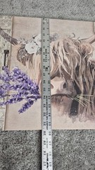 Highland Cow Canvas Wall Art, Highland Cow and Purple Lavender 23 x 15.5″ Farm