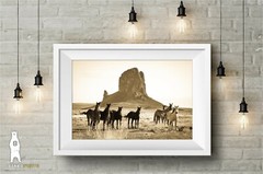 Wild Horse Art, Sepia Prints, Monument Valley, Southwestern Arizona Photography