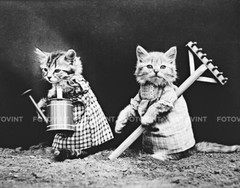 KITTEN CAT Photo Picture VINTAGE Photograph Print Garden Plants 8×10 or 11×14