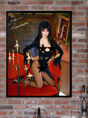 Elvira: Mistress of the Dark Poster 18×24 Art Man Cave Bar Decor Read Descr