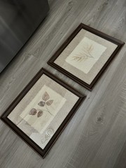 Interia Exotic Foliage Handmade Botanical Framed Wall Art Set of 2 14×12