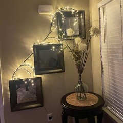 Vid De Sauce Iluminada, Soporte De Pared Para Decoración Del Hogar LED NEW US.