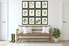 Herbs Botanical Wall Art Set of 12 Prints Beautiful Antique Vintage Unframed