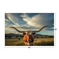 Texas Longhorn Cow Grazing at Dawn Photo Art Print Poster 18×12