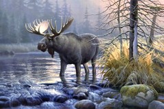 Moose Painting Print on Canvas Wall Art Wildlife Vintage Animals Cabin Decor