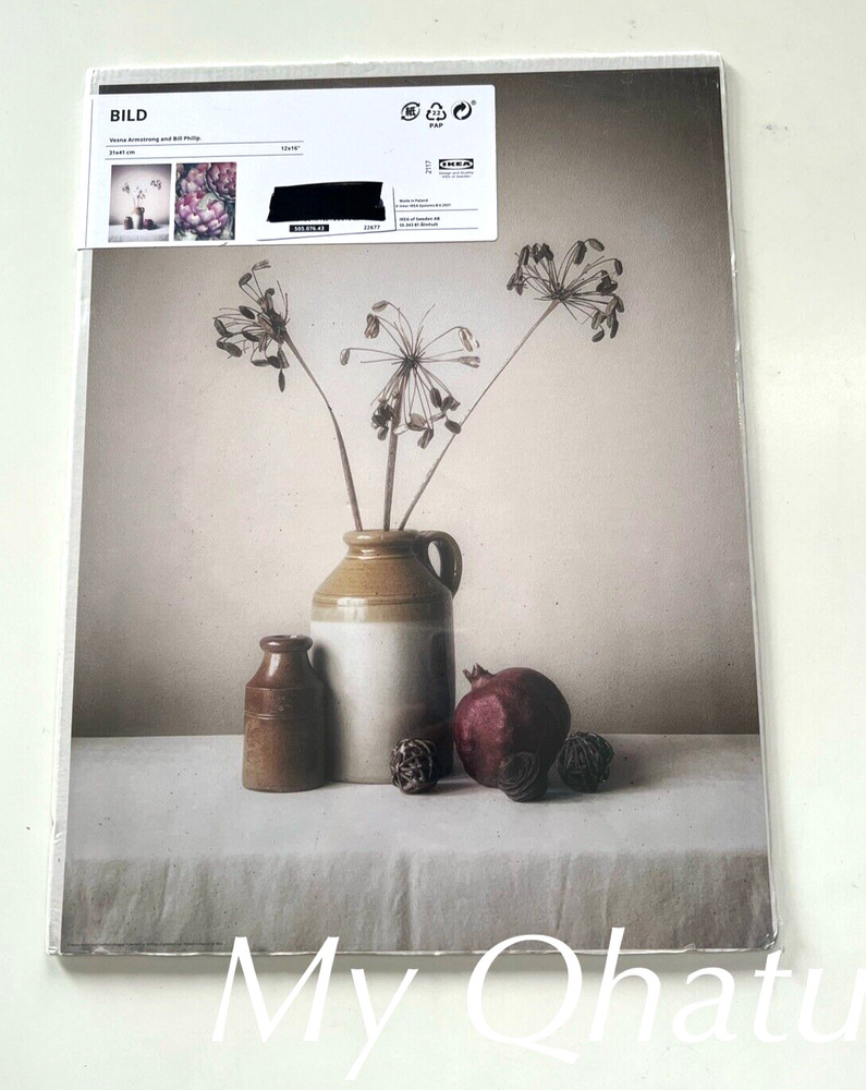 IKEA BILD Poster Artichokes Pots with flower 2 Pack, 12×16″ 505.076.43