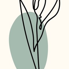 Minimalist Line Art Poster Print LA217