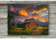 Farm Rustic Cattle Cowboy High Quality Canvas/Photo Paper PA56