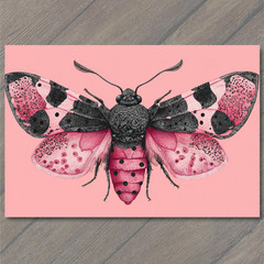 Art Print Pink Moth Insect Symmetry Black Pattern Wings Pastel Tone Pink
