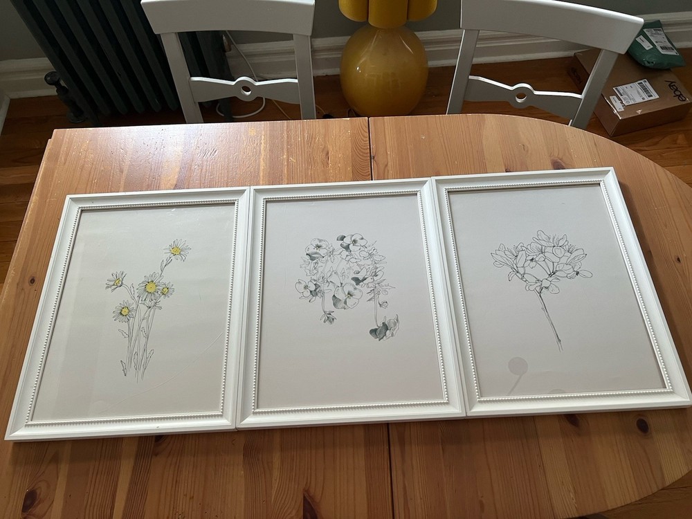 IKEA Floral Botanical Wall Art Prints Framed Set of 3 White Frames Decor
