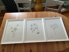 IKEA Floral Botanical Wall Art Prints Framed Set of 3 White Frames Decor