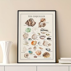 Starfish Conch Shell Poster Coastal Wall Art Beach House Decor NoFrame