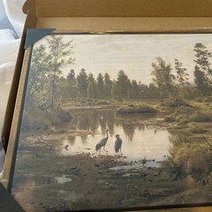 Floating Framed Canvas Wall Art Cranes By Tranquil Forest Pond 16L X 12W