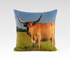 canvas art print giclée – poster or pillow longhorn cow in farm field